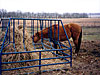Orange Ox - Orange Ox  - Hay Conserver Bale Feeder - Safe and Durable!